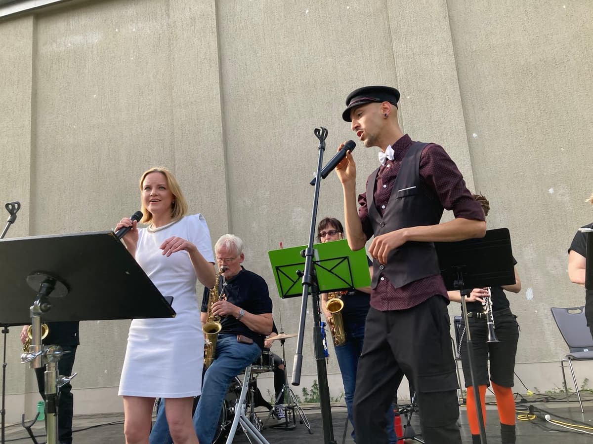 Bild von Fette Katze