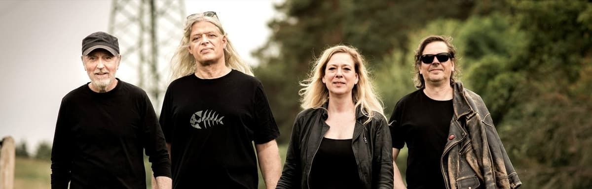 Bild von Sweet Confusion- Konzert