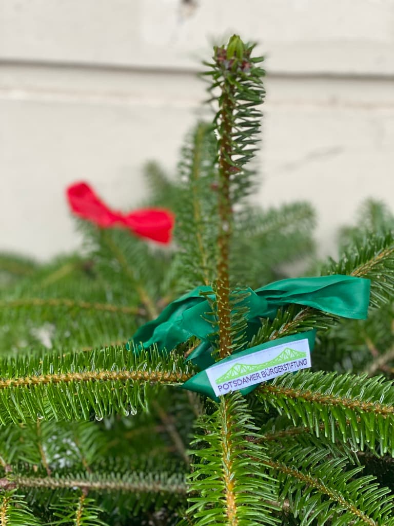 Adventsmarkt am Nauener Tor