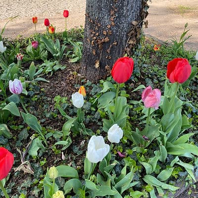 no info available for image