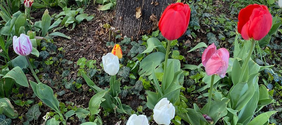 no info available for image